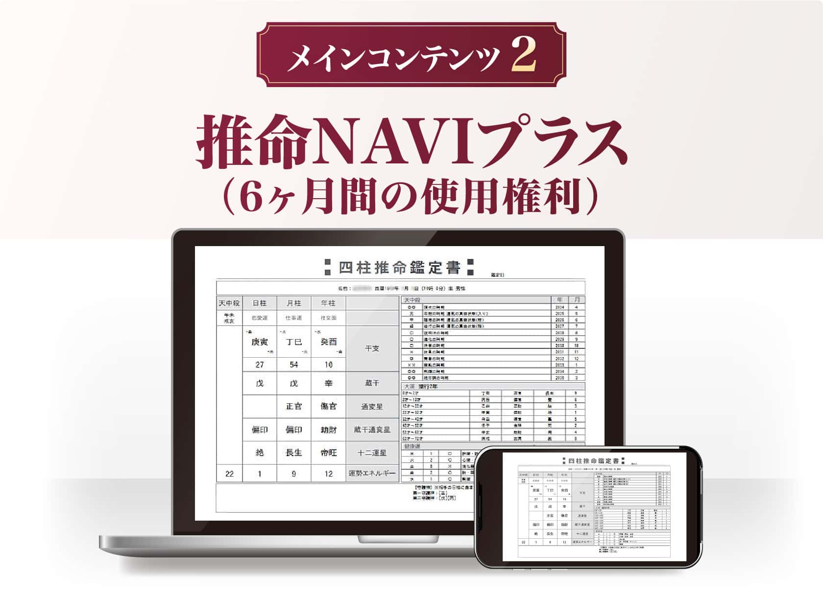 推命NAVIプラス